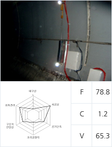 TPMS+